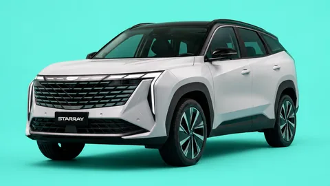 Geely Starray finance